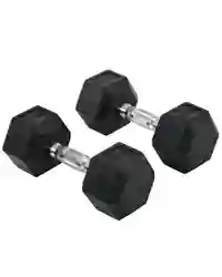 HOMCOM Hexagonal Dumbbells Kit Weight Lifting Exercise for Home Fitness 2x10kg