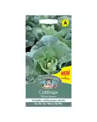 Cabbage Seeds Grow Your Own Garden Vegetable Wintergreen Packet Mr Fothergill's
