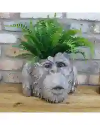 Decorative Plant Pot Planter Resin Monkey Head Hear No Evil Animal Head Design